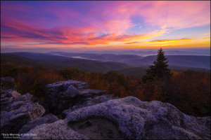 dolly-sods