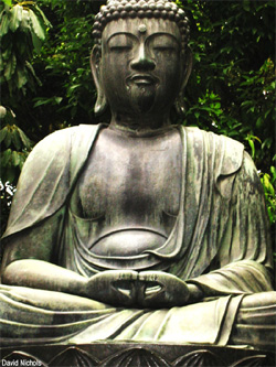 buddha031